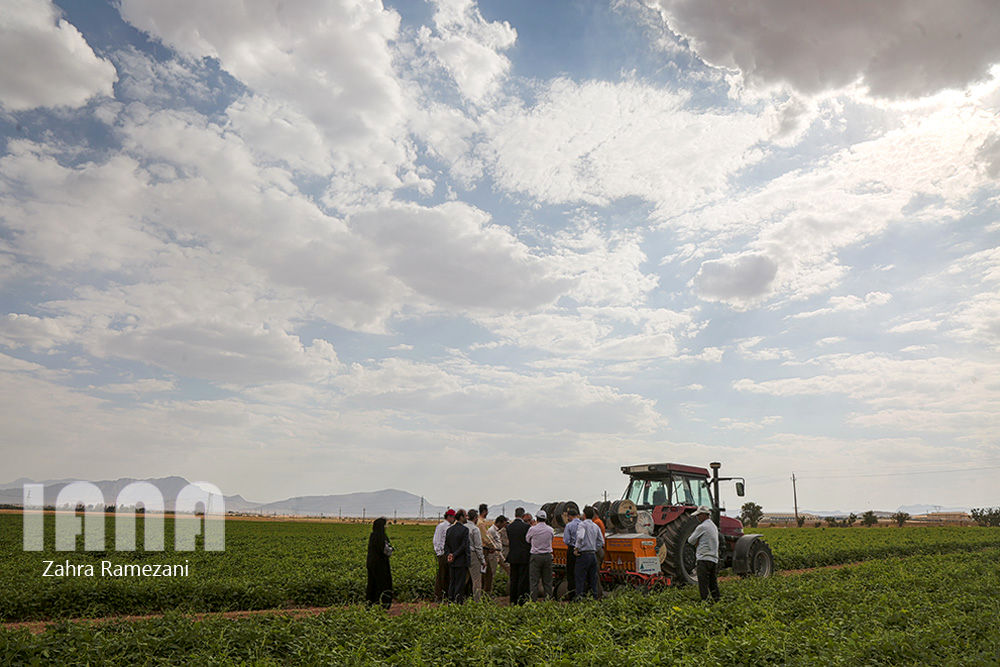 خلاقیت کشاورز خمین برای صرفه جویی آب