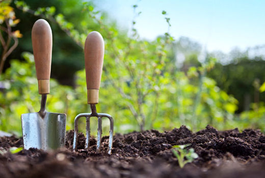 تصویب  طرح نظام صلاحیت حرفه ای کشاورزی 