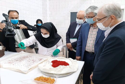 لزوم حمایت از بخش خصوصی برای توسعه طرح‌های مشارکتی بخش کشاورزی 