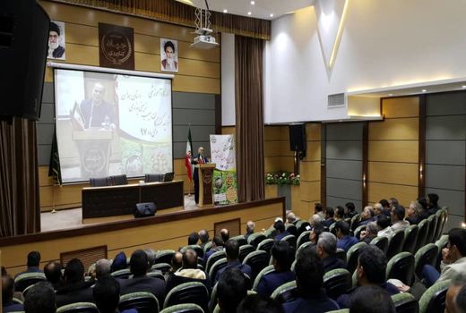 کشت 22 هزار هکتار سیب زمینی در  اراضی استان همدان