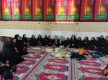 طرح ملی «زنان کار آمد روستای سرآمد» در استان بوشهر عملیاتی شد