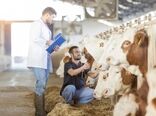 بیش از دو هزار پروژه تحقیقاتی حوزه دام در کشور انجام شده است