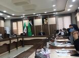 برگزاری وبینار سراسری راه‌اندازی سیستم یکپارچه اطلاعات کشاورزی