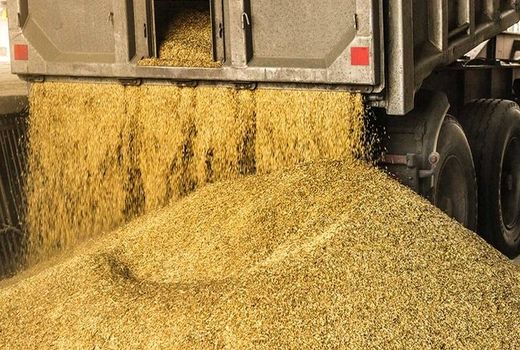  تخلف در توزیع نهاده های دامی و کشاورزی در چهارمحال و بختیاری