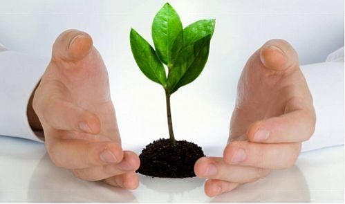 پایان بهمن ماه آخرین مهلت بیمه گری محصولات باغی در آذربایجان غربی