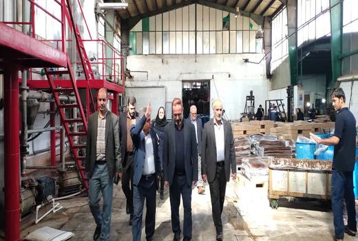 فعالیت ۳۰ واحد صنایع تبدیلی و غذایی به ظرفیت ۵۰ هزار تُن در مرند