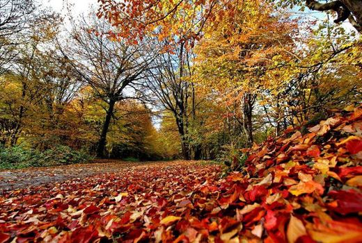 پاییز بدون باران در چهارمحال و بختیاری