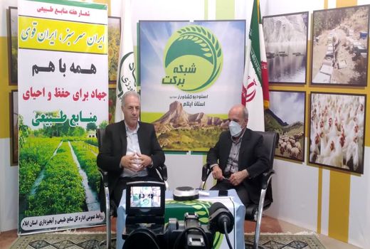 نهالکاری ۱۳۰۰ هکتاراز اراضی ملی در شهرستانهای مرزی استان ایلام