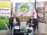 نهالکاری ۱۳۰۰ هکتاراز اراضی ملی در شهرستانهای مرزی استان ایلام