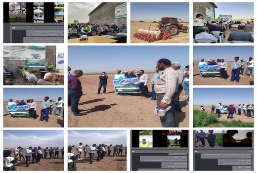 برگزاری دومین روز برنامه کاروان ترویج الگوی کشت ملی محصولات زراعی
