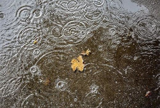 موج سرما چهارمحال و بختیاری را فرا می گیرد 