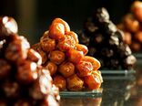 بیش از ۴۰۰ ژنوتیپ خرما؛ پشتوانه ژنتیکی ایران برای مقابله با تغییر اقلیم