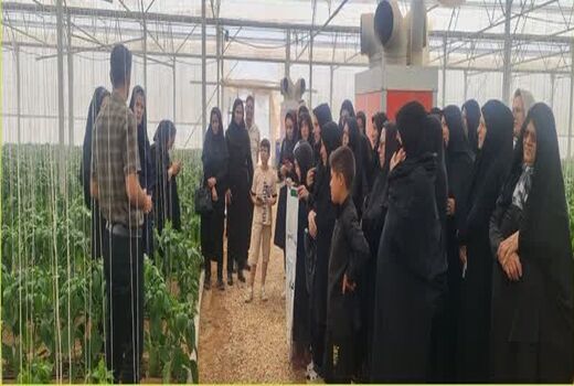 اجرای ۵۰۰ نفر روز آموزش کشاورزی در ارسنجان