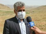 نگران باغات حاشیه رودخانه‌ها هستیم