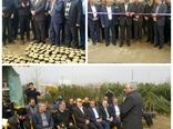 افتتاح مجتمع گل و گیاهان زینتی در رودسر