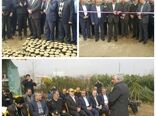 افتتاح مجتمع گل و گیاهان زینتی در رودسر