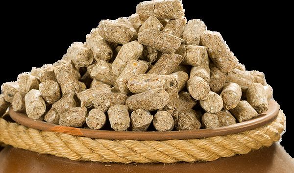 بهترین نرم‌افزار جیره‌نویسی، چه خصوصیاتی دارد؟