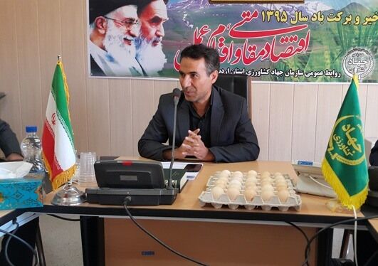 سهم ناچیز مصرف تخم مرغ در استان اردبیل / «معجون سلامتی» شعار جهانی امسال روز جهانی تخم مرغ