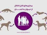 انتقال بیماری به انسانت از طریق حیوانات خانگی