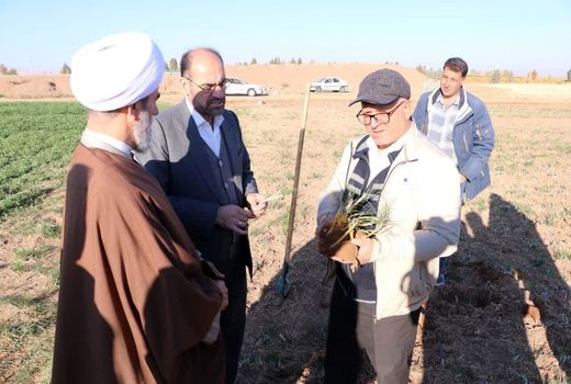 کشت ۱۰۰ هکتار زعفران در استان قزوین