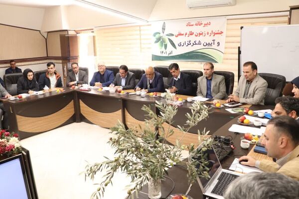 برنامه‌های تحقق چشم انداز توسعه زیتون در قزوین عملیاتی شده است