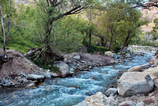 توصیه به کم‌آبیاری برای مقابله با خشکسالی