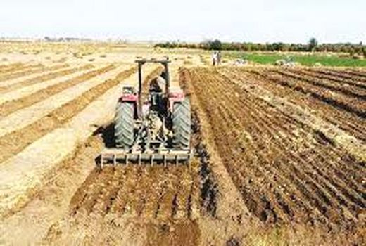 توجه به تامین آب پایدار برای کشت ذرت در فیروزآباد 