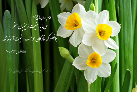 پیام تبریک سرپرست سازمان جهاد کشاورزی استان البرز به مناسبت نیمه شعبان