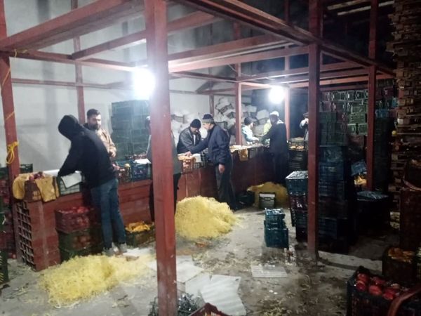 حمل و بارگیری محمولههای سیب درختی طرح تنظیم بازار میوه شب عید در آذربایجان شرقی