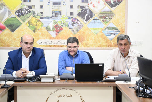 خدمات حمایتی دولت مشروط به رعایت الگوی کشت/ نقش اصناف در ساماندهی نهاده‌ها و زنجیره تولید پررنگ‌تر می‌شود