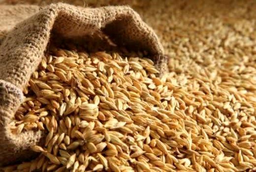 رشد ۹۵ درصدی توزیع نهاده‌های دامی در فارس