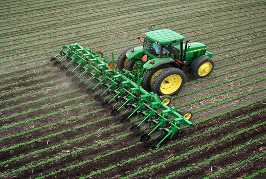 کنترل کافی علف‌های هرز با کشاورزی حفاظتی در خرمشهر