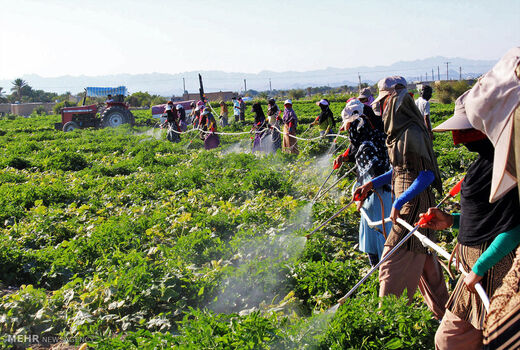 برخورداری 2500 خانوار روستایی خراسان شمالی از بیمه اجتماعی