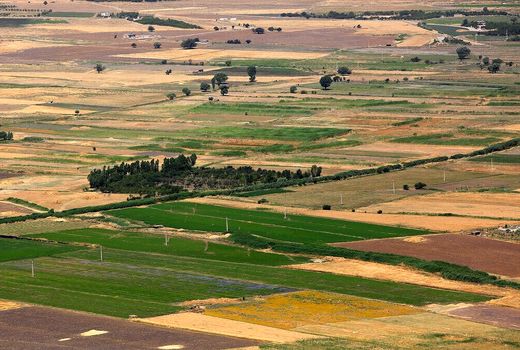  واگذاری ۷۶ هکتار اراضی ملی به طرح‌های تولیدی قزوین