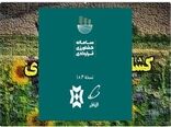 کشت قراردادی گندم در 5000 هکتار مزارع بهشهر