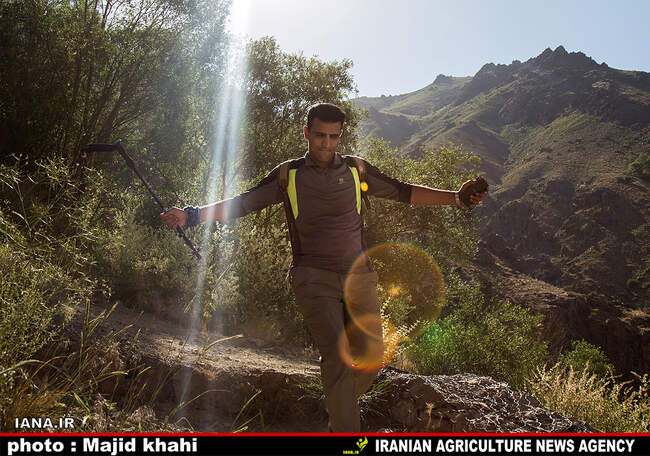 کوه پیمایی