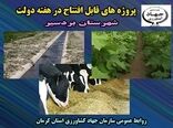 3 طرح کشاورزی شهرستان بردسیر در هفته دولت به بهره برداری می رسد