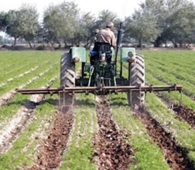خرد شدن اراضی و فرسودگی ماشین‌آلات؛ دو مانع جدی افزایش بهره‌وری در مزارع چغندرقند