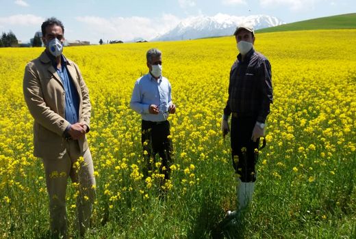 معاونت محترم تولیدات گیاهی 