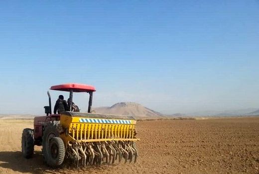 ۷۲۳ هزار هکتار از اراضی کردستان زیرکشت محصولات زراعی رفت
