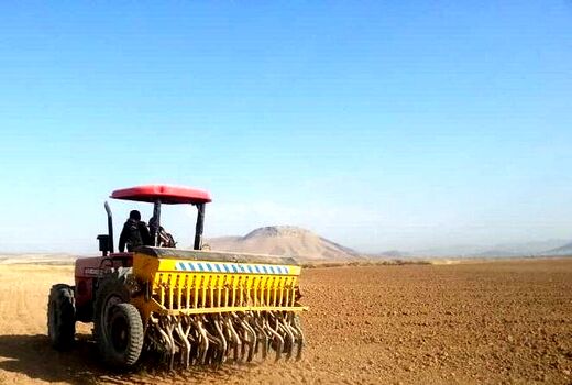 ۷۲۳ هزار هکتار از اراضی کردستان زیرکشت محصولات زراعی رفت