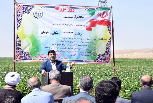  تولید غده بذری سیب زمینی در منطقه شربیان سراب برای اولین باردر استان آذربایجان شرقی 