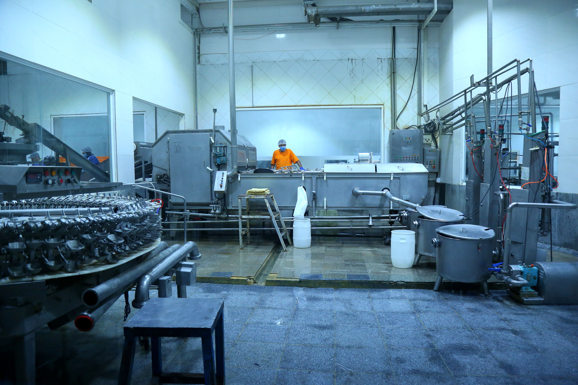 تور رسانه ای به مناسبت هفته دامپزشکی 