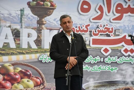 ارزش افزوده سیب میانه با توسعه سورتینگ و بسته‌بندی افزایش می‌یابد