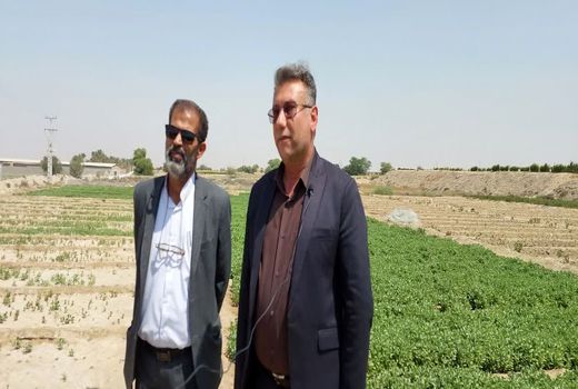 تثبیت هشت هزار و 718 هکتار اراضی غیر ملی در شهرستان تنگستان