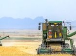 تولید گندم در اصفهان ۶۵ درصد کاهش یافت