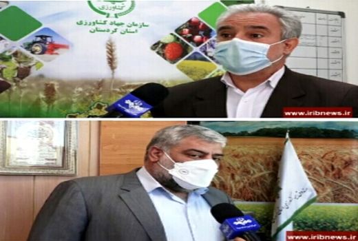 خسارت ۶ هزار میلیاردی خشکسالی به کشاورزی کردستان