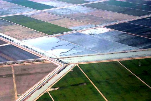 سیلاب ۹۵ درصد اراضی کشاورزی استان های سیل زده تخلیه شد