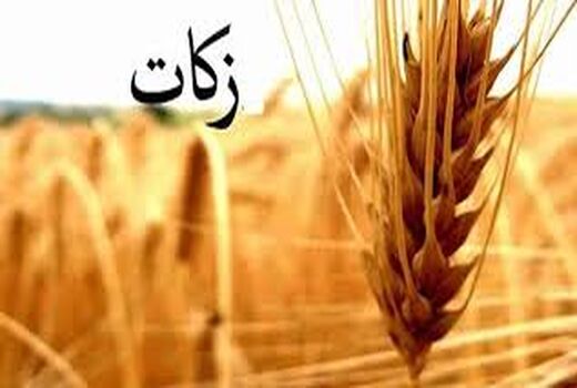 تشکیل شورای برنامه ریزی  زکات با محوریت ستاد راهبردی و عملیاتی  زکات در تعاون روستایی  استان کرمان