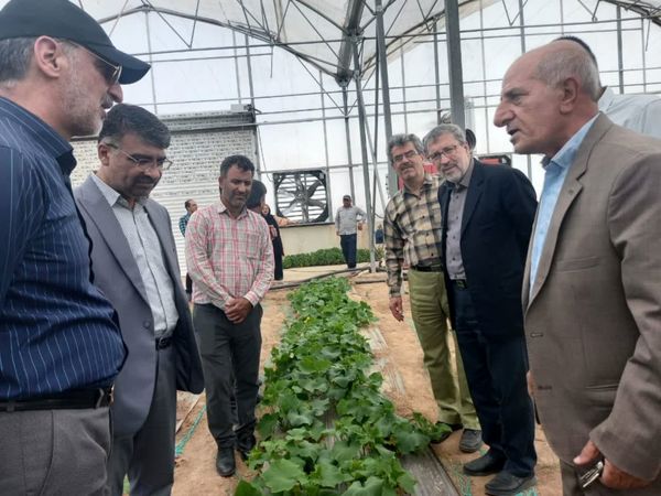 بازدید رئیس سازمان مدیریت و برنامه‌ریزی استان قزوین از شهرک گلخانه‌ای نودهک